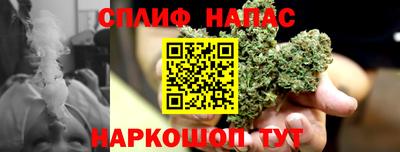 прущие грибы Усть-Илимск